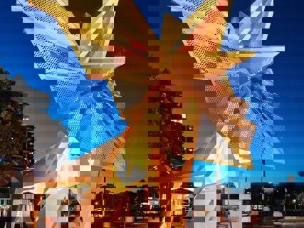 Native Animal Canopies, WA