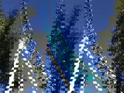 Surfrider protected for the long ride with trusted duo