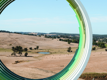Celebrating Nature's Beauty: 'Convergence' Sculpture by Andrew Frazer