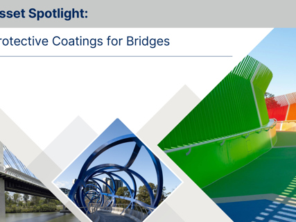 Protecting bridges around Australia
