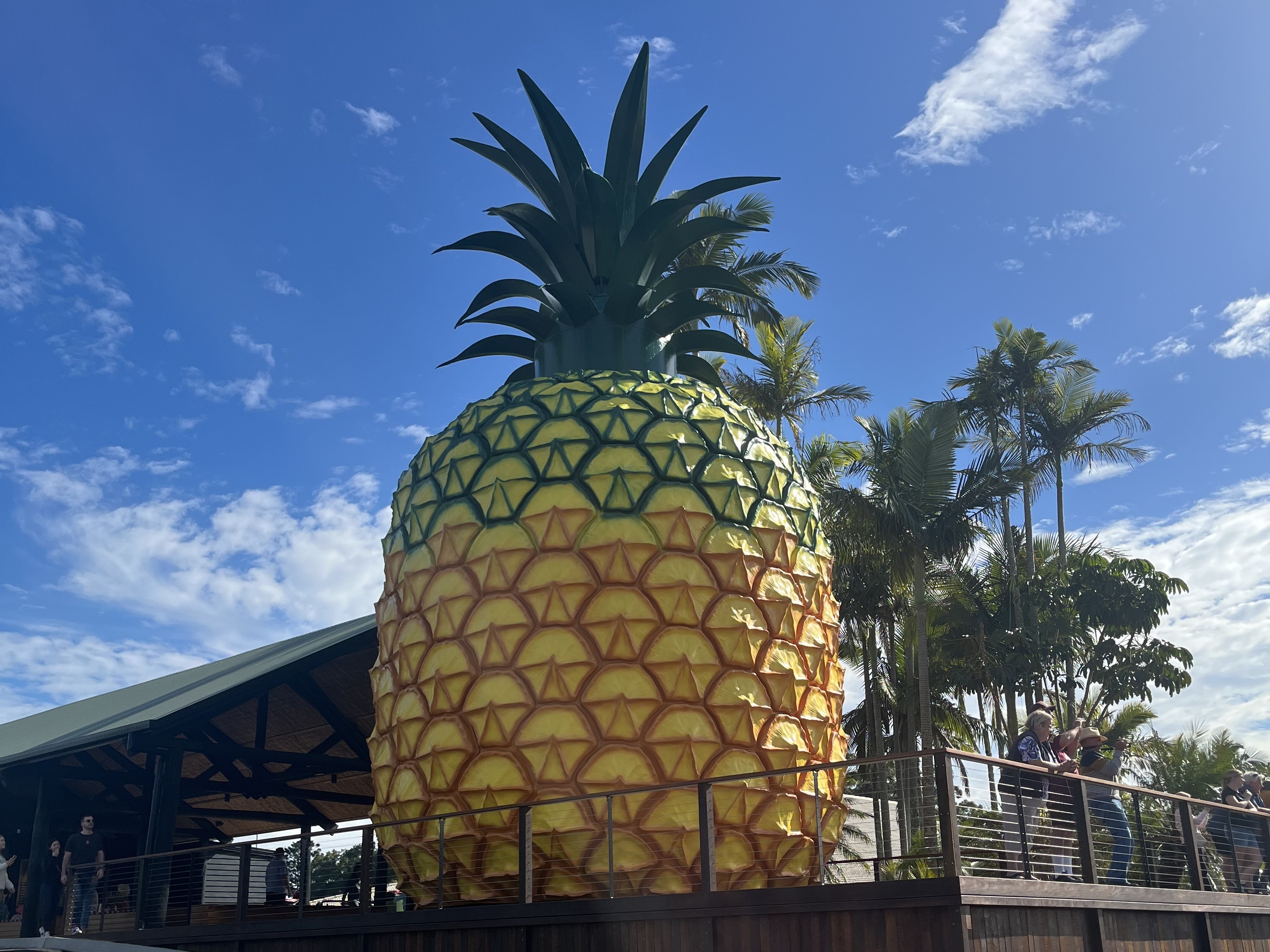The Big Pineapple Restored and Rejuvenated