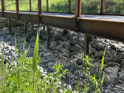 Umbagong Pedestrian Footbridges, ACT